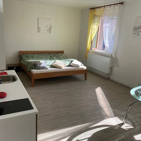 Διαμέρισμα U Jenika Chlumecka 188 Stráž nad Nežárkou