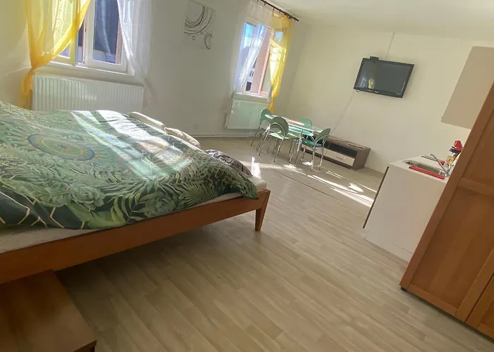 U Jenika Chlumecka 188 Lejlighed